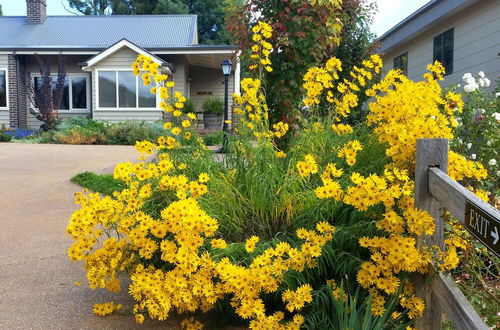 Photo 12 - Marysville Garden Cottages