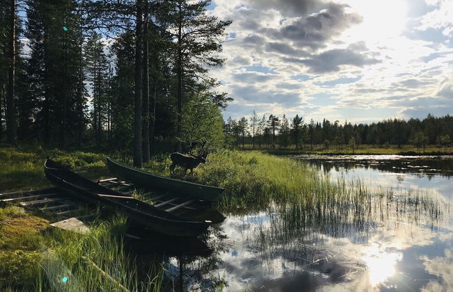Metsä Kolo - Photo 54