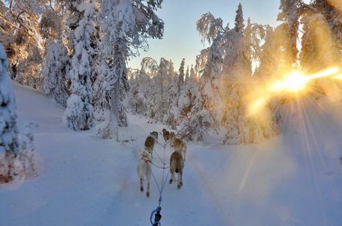 Foto 44 - Metsä Kolo