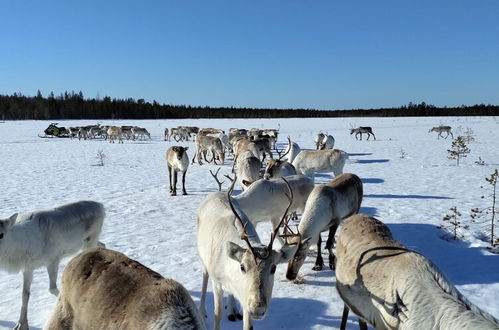 Photo 41 - Metsä Kolo