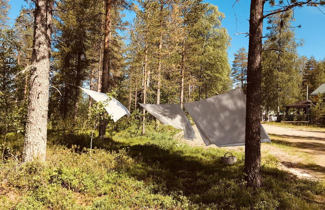 Metsä Kolo - Photo 52