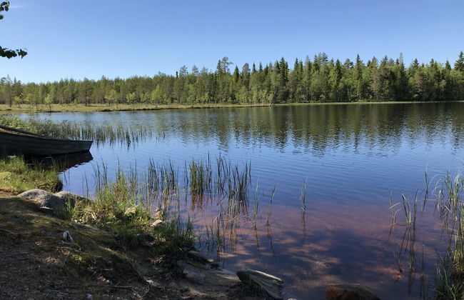 Metsä Kolo - Photo 51