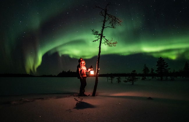 Metsä Kolo - Photo 19