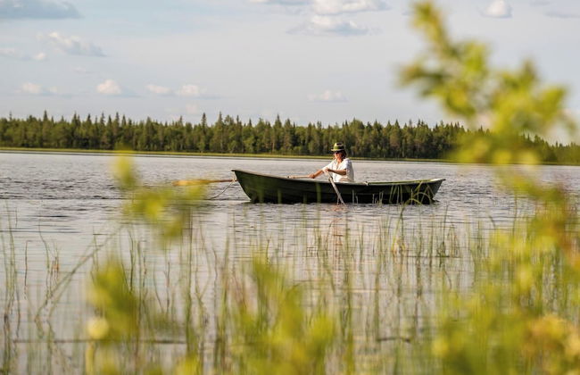 Metsä Kolo - Photo 39