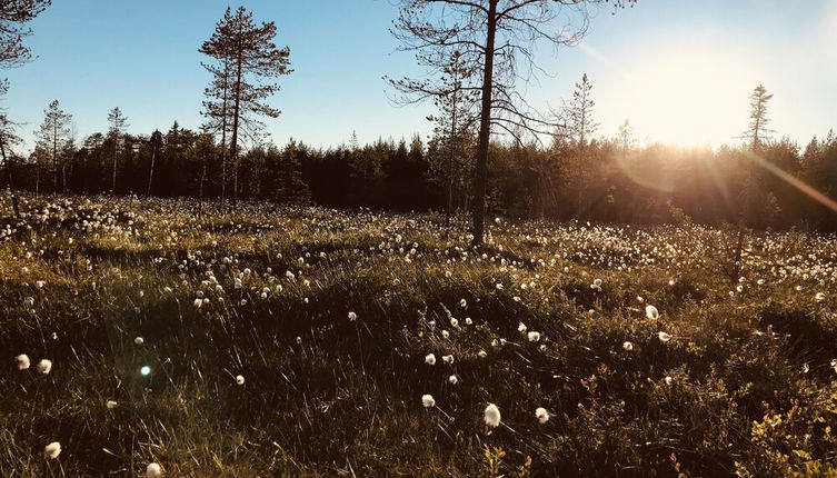 Foto 1 - Metsä Kolo