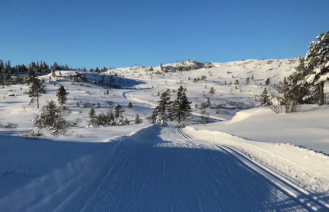 Ski Lodge & Apartments Gautefall - Photo 75