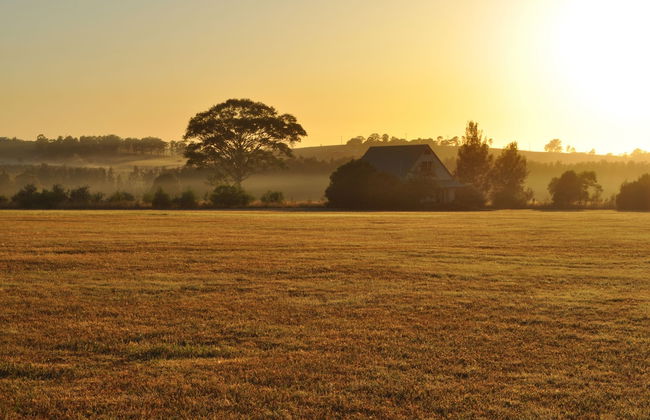 Bracken Ridge Villas - Foto 46