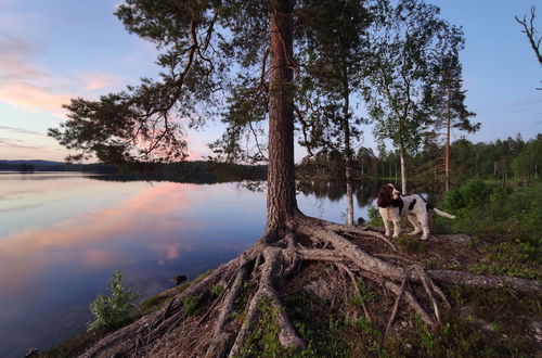 Photo 39 - Romme Stugby