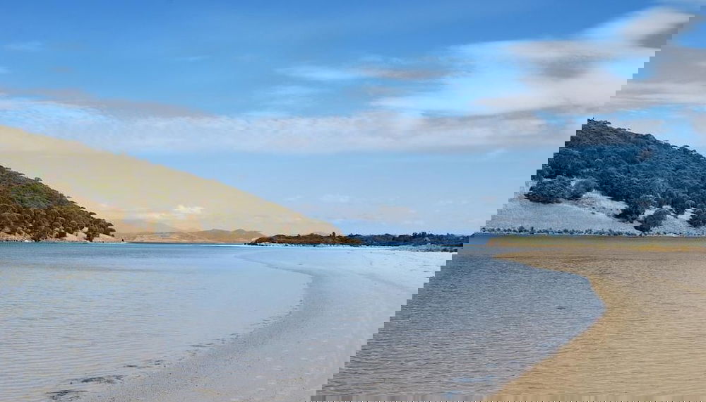 Image principale
