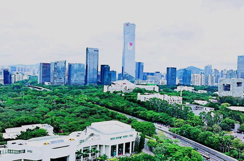 Photo 15 - Avatar Young Lion Large Queen Bed & High Rise View