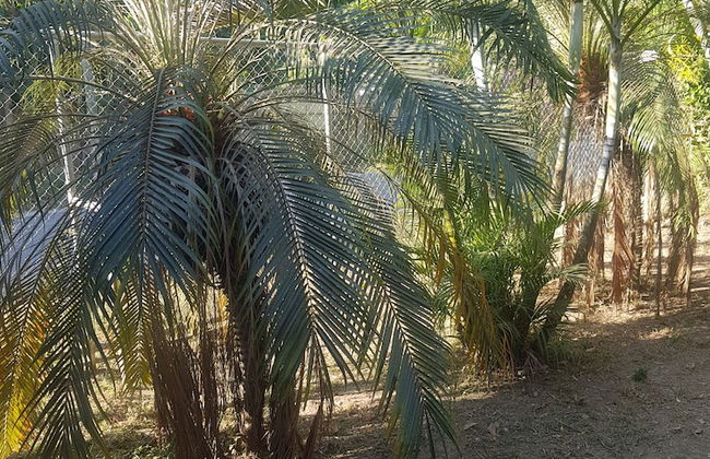 Welcome to House Beach and River - Foto 43