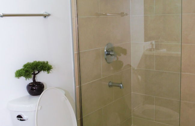 New Kingston Luxury Apt The Bromptons - Photo 10
