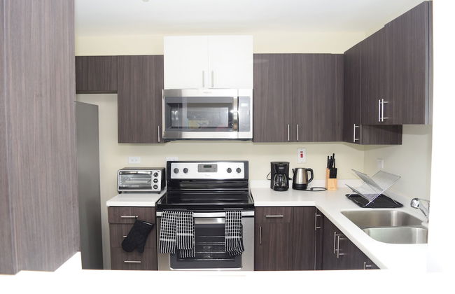 New Kingston Luxury Apt The Bromptons - Photo 4