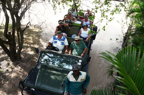 Photo 55 - Pezulu Tree House Lodge