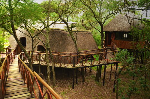 Photo 27 - Pezulu Tree House Lodge