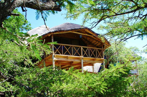 Foto 35 - Pezulu Tree House Lodge