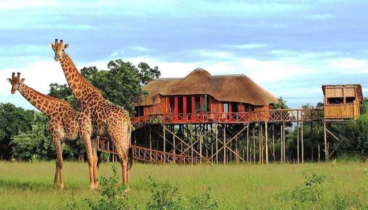 Photo 1 - Pezulu Tree House Lodge