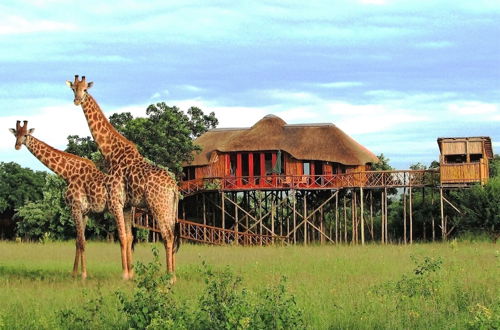 Photo 1 - Pezulu Tree House Lodge