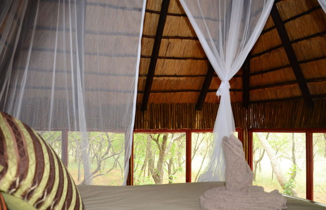 Pezulu Tree House Lodge - Foto 7
