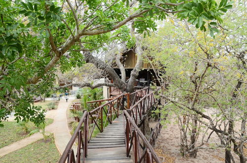 Photo 3 - Pezulu Tree House Lodge