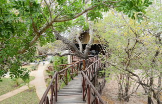 Photo 3 - Pezulu Tree House Lodge