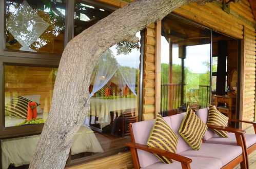 Photo 31 - Pezulu Tree House Lodge