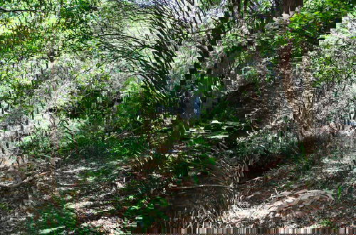 Photo 17 - Blyde Canyon, A Forever Resort