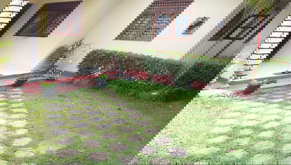 Primary image