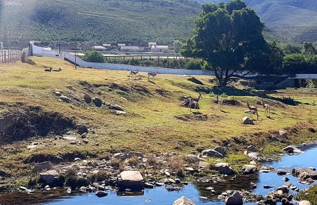 Assegaaibosch Country Lodge - Foto 61