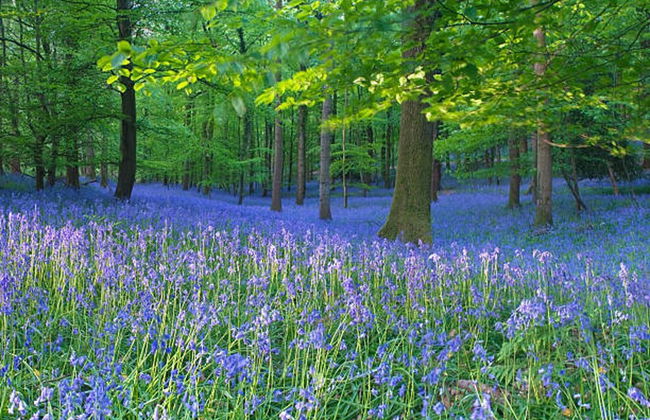 Deers Leap, A Modern new Personal Holiday let - Foto 9