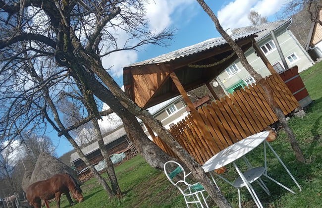 Room in Guest Room - Cozy Rural Retreat in Roşia Montana - Foto 1