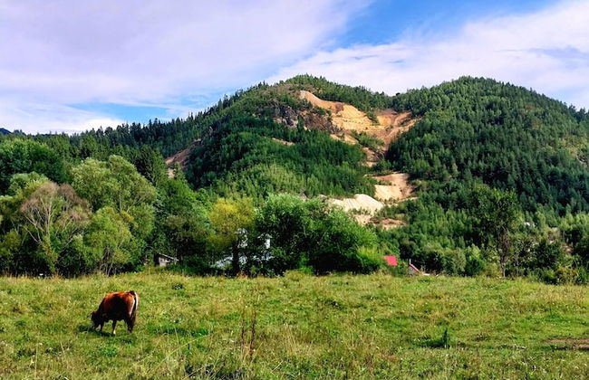 Rustic Wild Retreat IN Romania - Foto 50