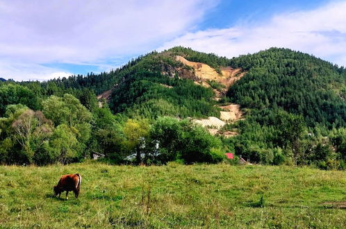 Foto 52 - Rustic Wild Retreat IN Romania