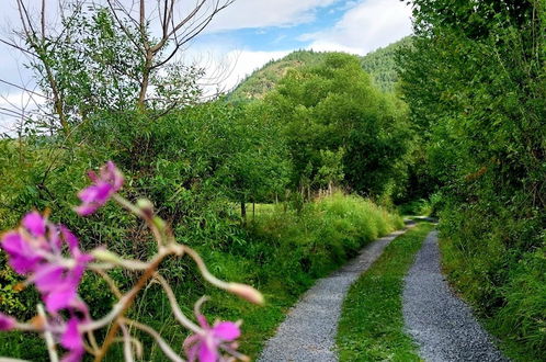 Foto 53 - Rustic Wild Retreat IN Romania