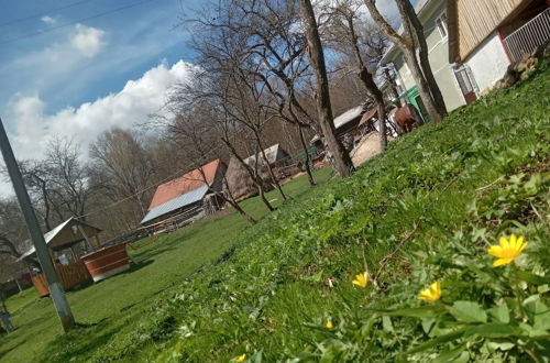 Photo 17 - Room in Guest Room - Cozy Rural Retreat in Roşia Montana