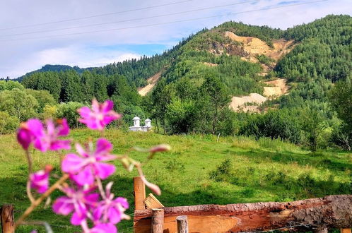 Photo 54 - Rustic Wild Retreat IN Romania