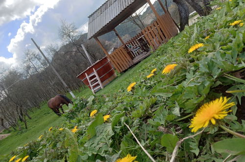 Photo 44 - Room in Guest Room - Cozy Rural Retreat in Roşia Montana