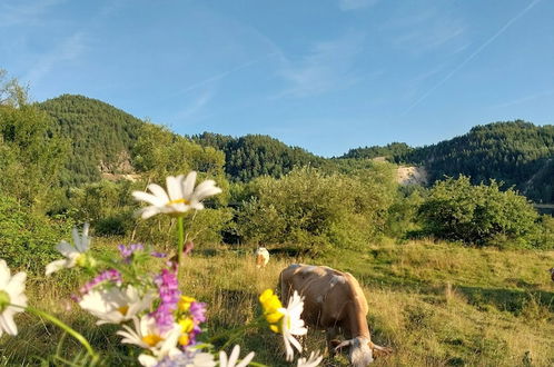 Photo 50 - Rustic Wild Retreat IN Romania