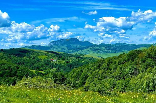 Foto 12 - Rustic Wild Retreat IN Romania