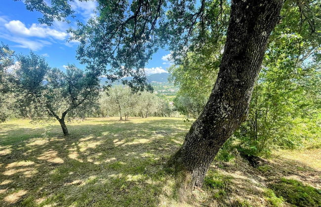 Spoleto Tranquilita Sleeps 20 With Wifi Pool Yoga Studio Gardens and Views - Foto 51