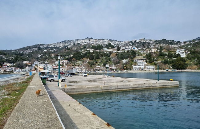 "skopelos- Iris - Your Traditional Home" - Foto 32