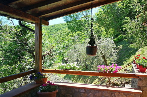 Photo 16 - Holiday Apartment Ulivella Tuscany Garfagnana