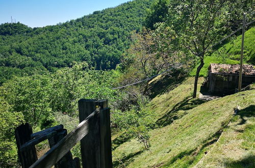 Photo 32 - Holiday Apartment Ulivella Tuscany Garfagnana