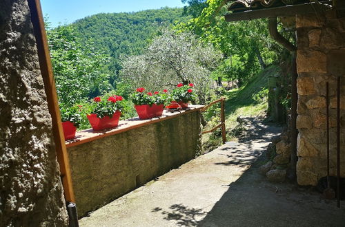 Foto 31 - Holiday Apartment Ulivella Tuscany Garfagnana