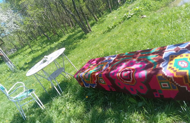 Room in Guest Room - Idylic Family Sejour With Hottube in Green Land - Foto 38