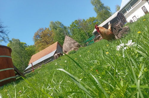 Foto 47 - Room in Guest Room - Idylic Family Sejour With Hottube in Green Land