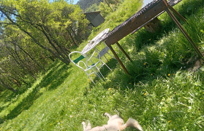Room in Guest Room - Idylic Family Sejour With Hottube in Green Land - Foto 48