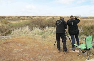 Photo 1 - Peaceful Holiday Home in Skagen near Sea