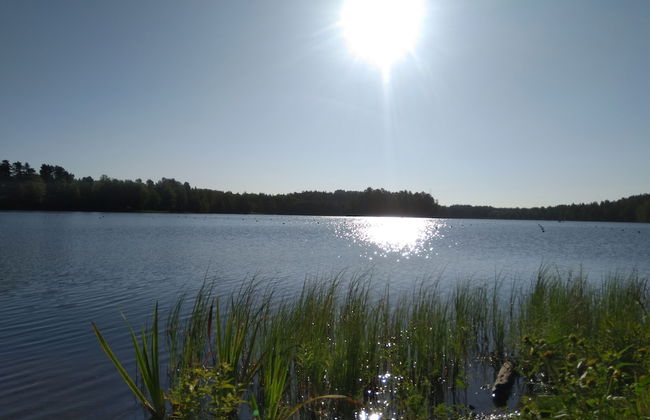 Pinjakoti - Foto 55