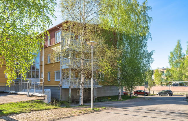 Pinjakoti - Foto 48